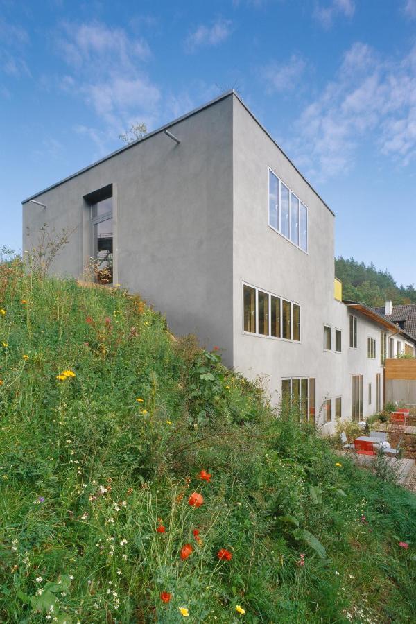 Seehaus Forelle Haeckenhaus Ramsen Экстерьер фото